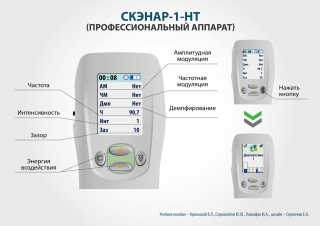 СКЭНАР-1-НТ (исполнение 01)  в Севастополе купить Нейродэнс ПКМ официальный сайт - denasdevice.ru 